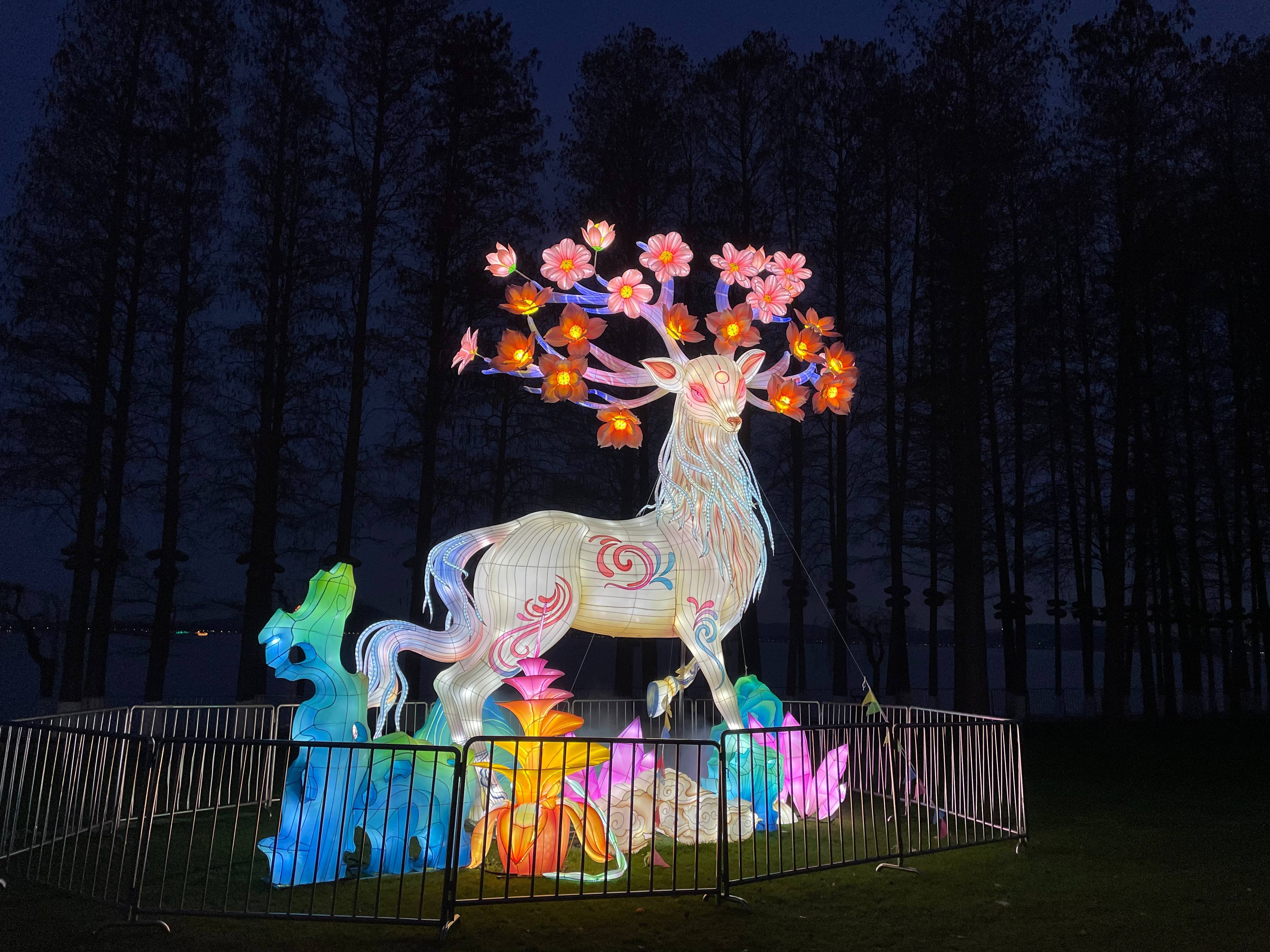 2023-03-25 东湖奇妙夜.jpg