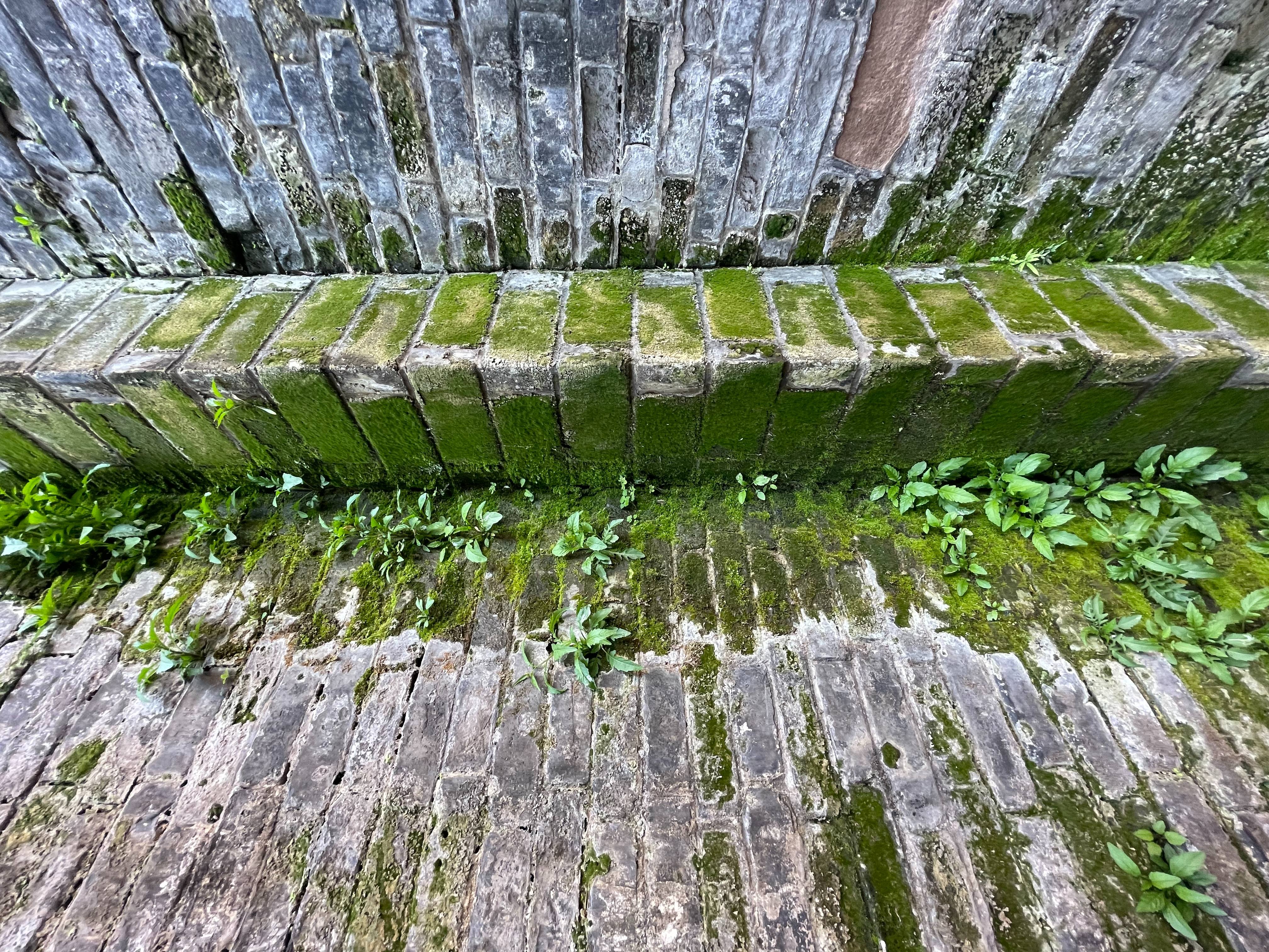 2023-04-01 长春观内一角.jpg