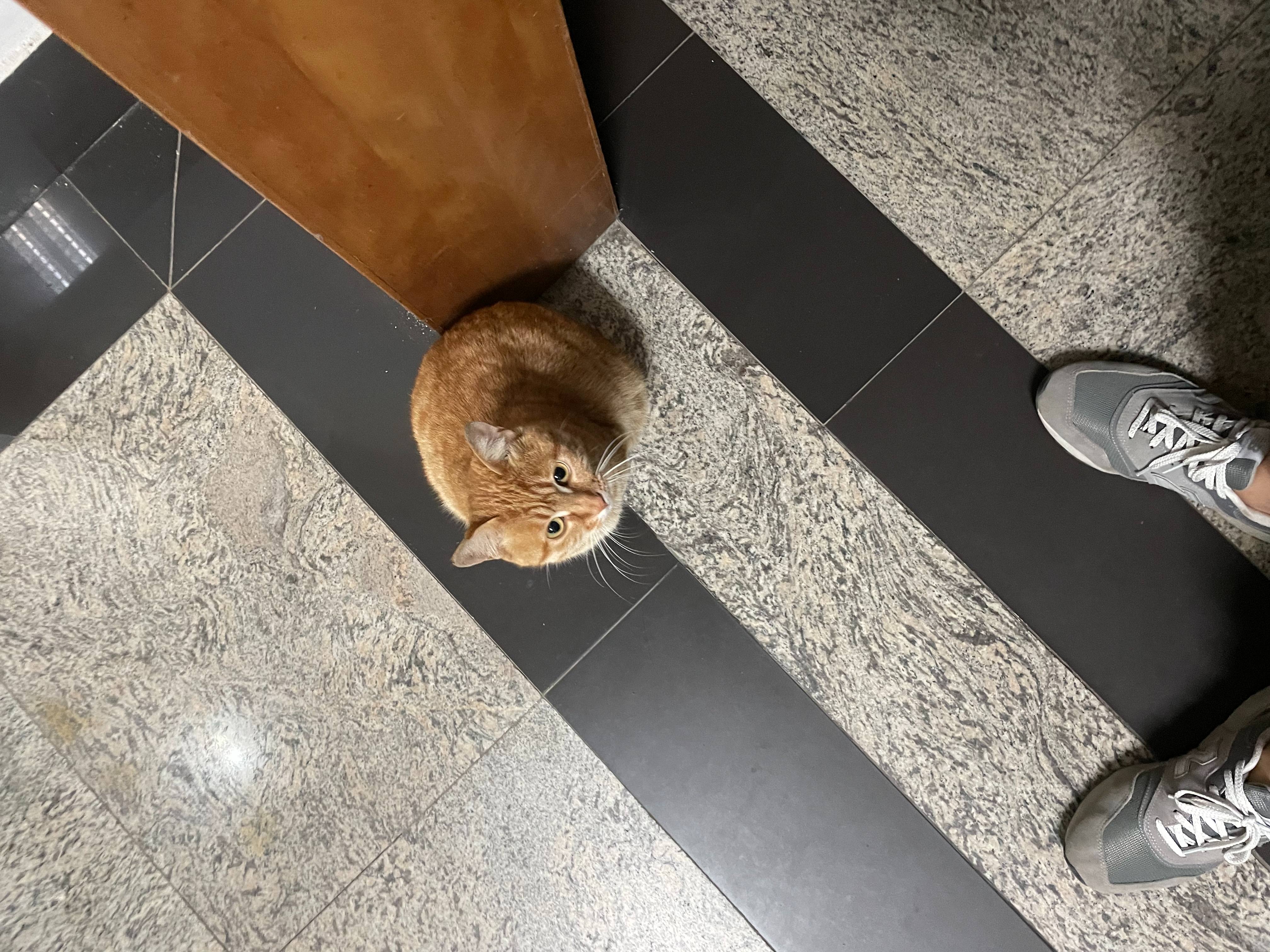 2023-04-29 橘桑在信息楼.jpg