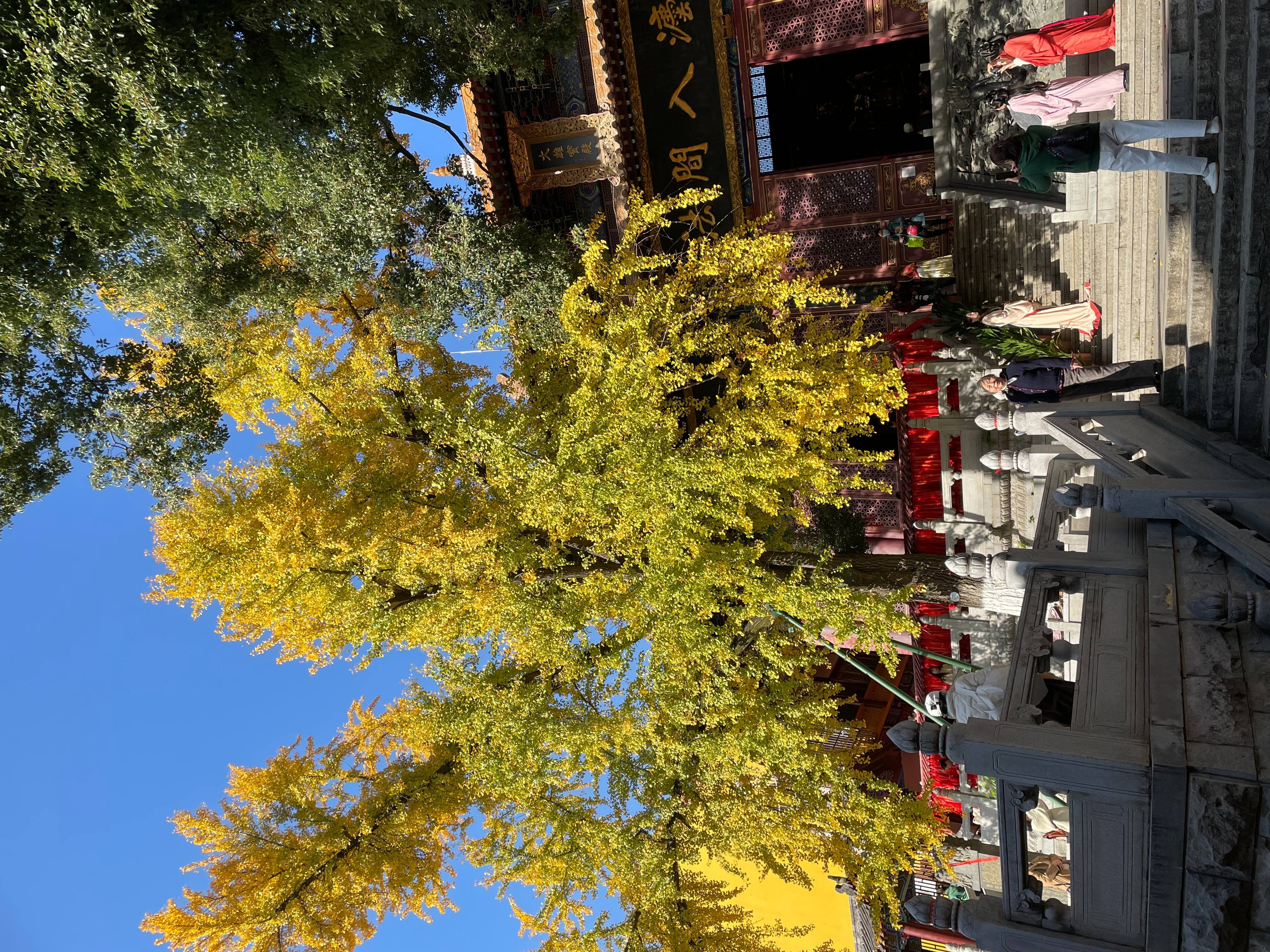 2023-12-07 宝通寺.jpg