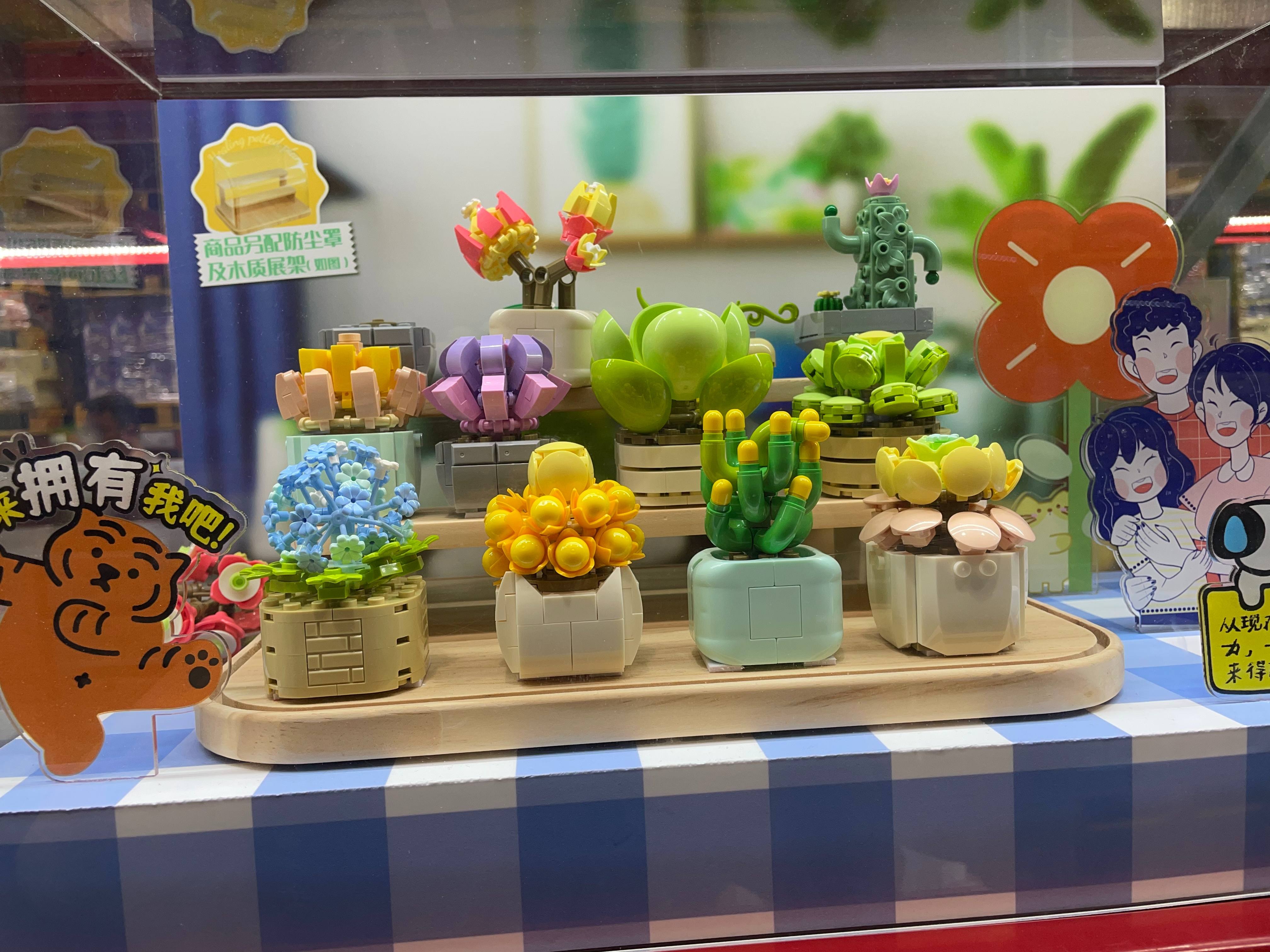 2024-07-21 山姆多肉乐高.jpg