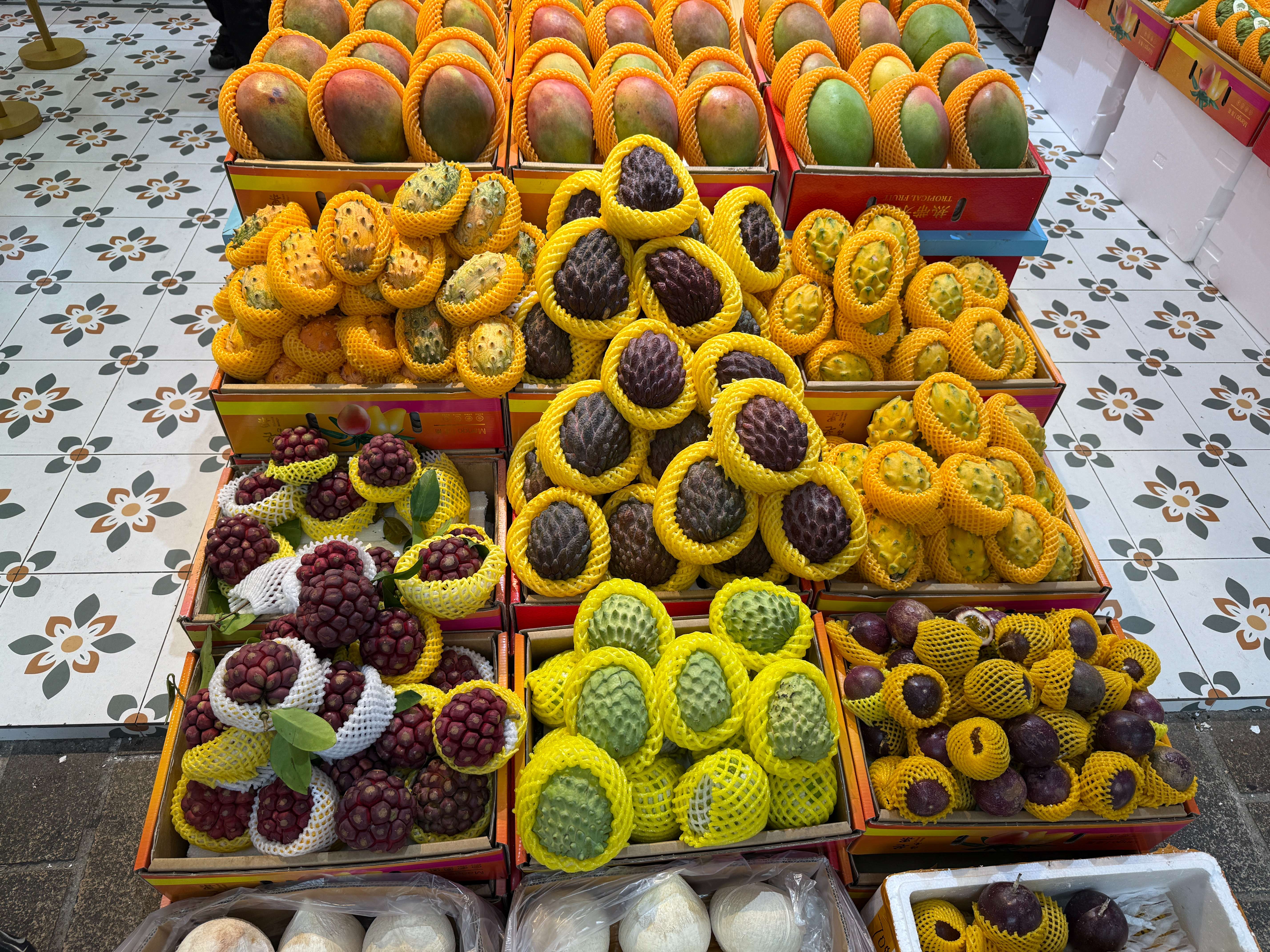 2025-11-15 恶魔果实.jpg